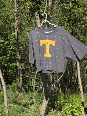 Tennesse Rhinestone Crop Top Size XXL